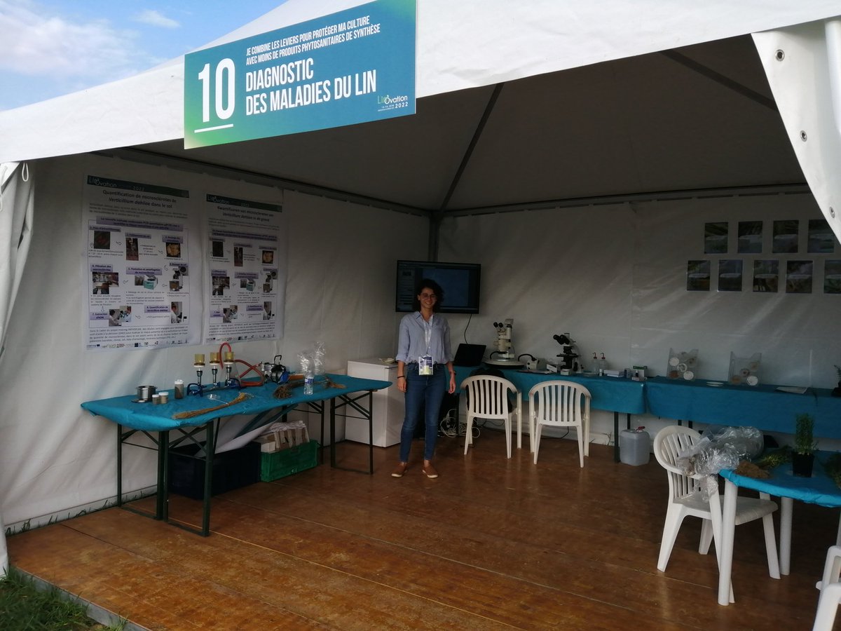 arvalispatho's tweet photo. Nous vous attendons avec impatience au salon #linovation à l atelier 10 et 11 pour parler diagnostic des maladies et #verticilliose #Pathoflax sous un beau soleil 😊 @YFlodrops @Arvalisofficiel @benoit_nmd https://t.co/ZBnyB3JWJ5