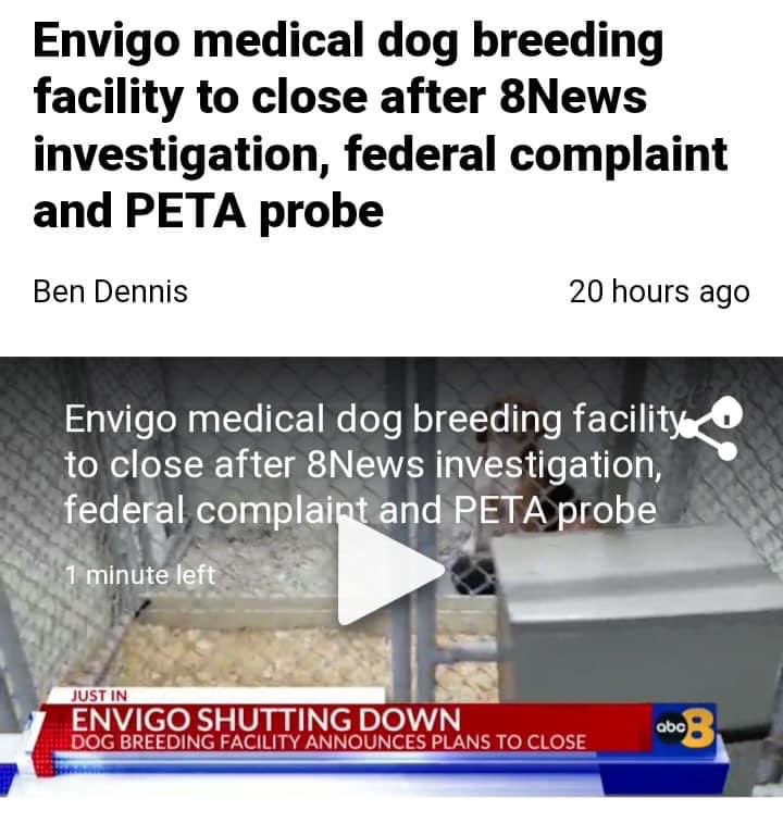 74Tonystac's tweet photo. What an amazing bit of news..now onto getting #mbracres closed..your time is up mbr #freethembrbeagles @charliemoores @TheCampBeagle @BirrLinda @EamonnHolmes @Independent @Halescamb https://t.co/NyJUKPIdAQ