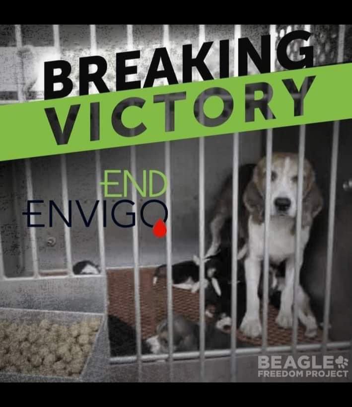 74Tonystac's tweet photo. What an amazing bit of news..now onto getting #mbracres closed..your time is up mbr #freethembrbeagles @charliemoores @TheCampBeagle @BirrLinda @EamonnHolmes @Independent @Halescamb https://t.co/NyJUKPIdAQ