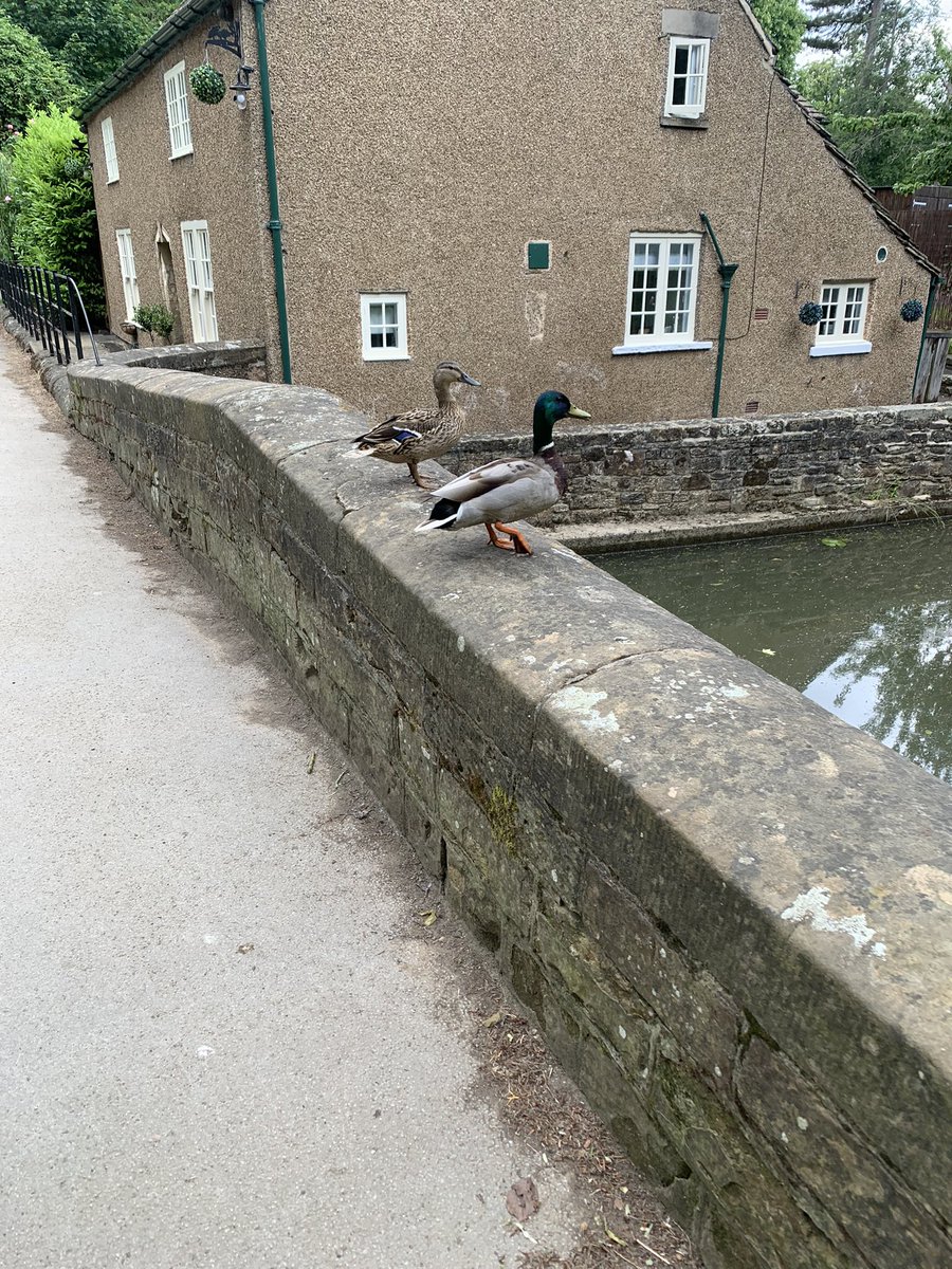 s62ctr's tweet photo. Yesterdays walk, supporting exercise for wellbeing #mentalhealth #peersupport #exerciseforthemind #Rotherham https://t.co/e2edk8lPdl