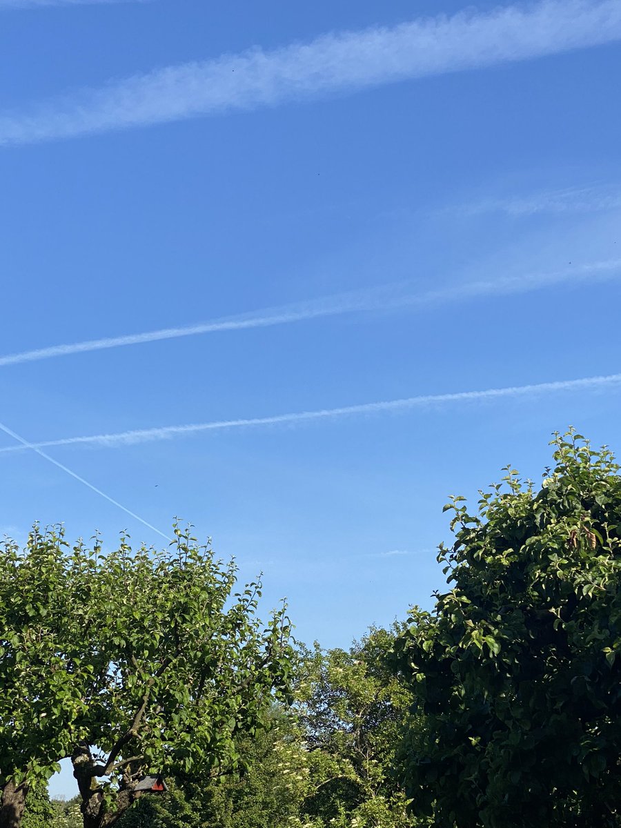 PriessJulia's tweet photo. Best weather for the #Path2Integrity networking event this evening at the Baltic Sea! Looking forward to see you @kathamiller @BourgeoisDoyle @mattjhodgkinson @DelwenFranzen @metodiev_teodor and many more … https://t.co/q5zijtdJiW