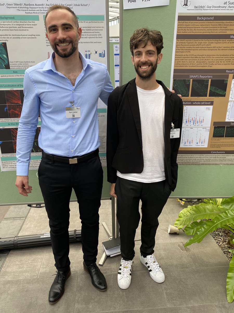 When your bench neighbor (@itai_er) is your poster one, at some point he ends up explaining your poster, and you explaining his ;)  <a href="/KehatLab/">Kehat Lab</a> <a href="/ISHR_ECI/">ISHR International ECI Committee</a> #ISHR2022 #Berlin