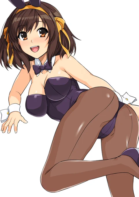 バニーハルヒさん 