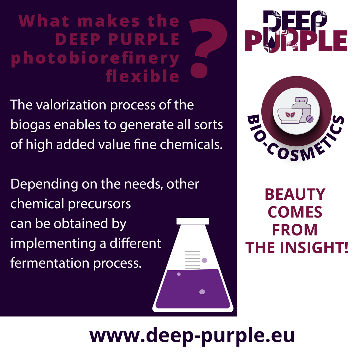 DeeppurpleEU's tweet photo. #biogas #ectoine #biorefinery #photobiorefinery
Another advantage of our DEEP PURPLE Multi-Platform Biorefinery 😎 https://t.co/PM2RhNgwKd
