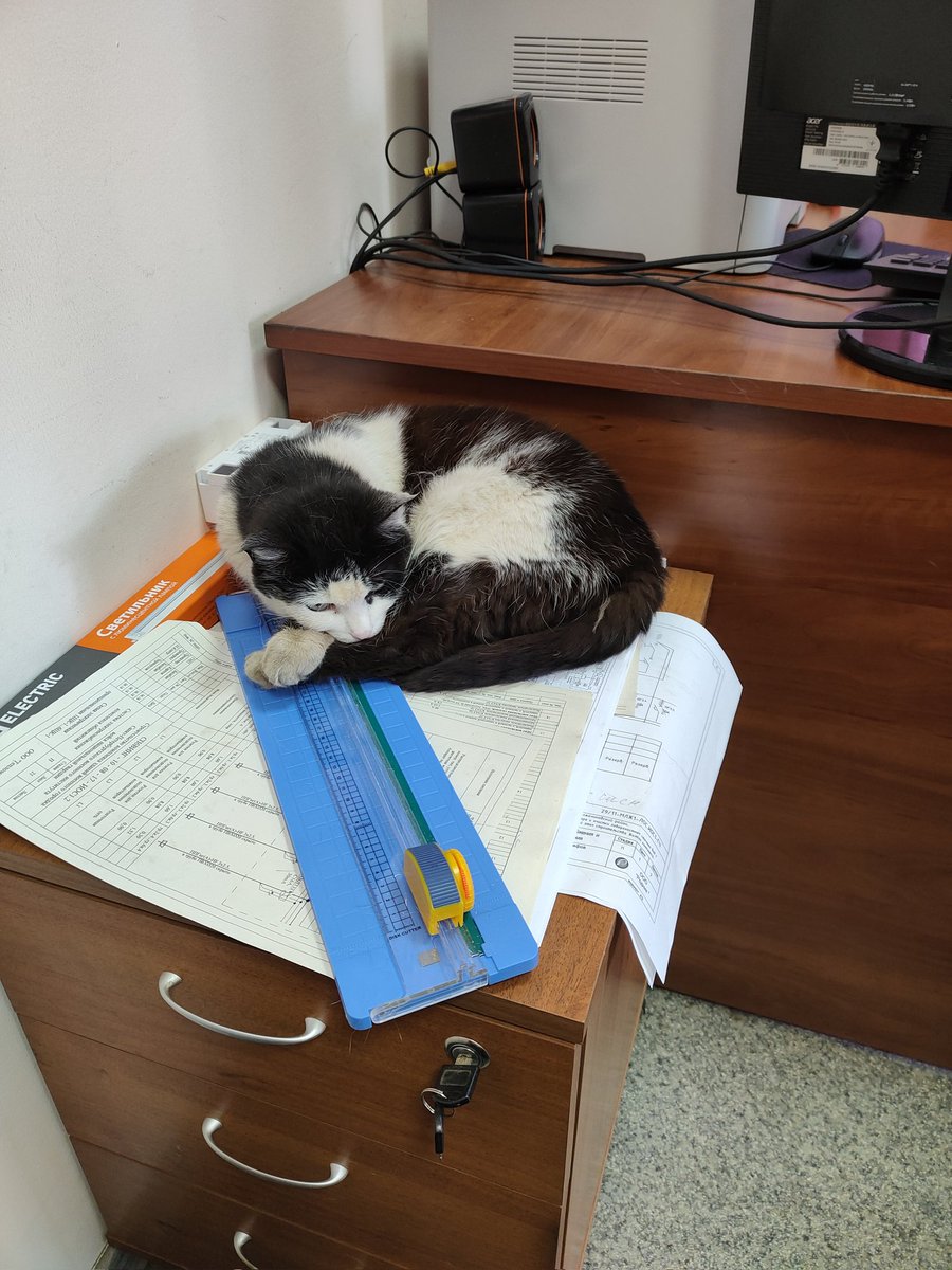 FairyNary's tweet photo. Задумалось. https://t.co/64iMJoxHSv
