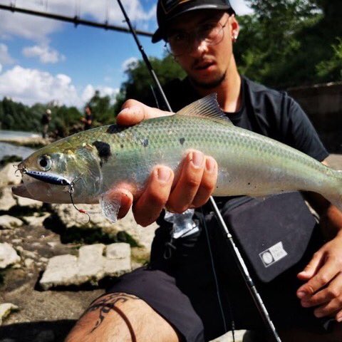 palms_global's tweet photo. Super Light Shore Jigging with Miniature Dax in Italy 🇮🇹
Lure: Miniature Dax 7g Sardine color(H-10)
#palms #palmsfishing #shorejigging #shorejig #metaljig #metaljigs #bitarts #microjig #microjigs #lightgame #lightgamefishing #fishingitaly #italyfishing @palms_japan https://t.co/nX7njZ4f7b