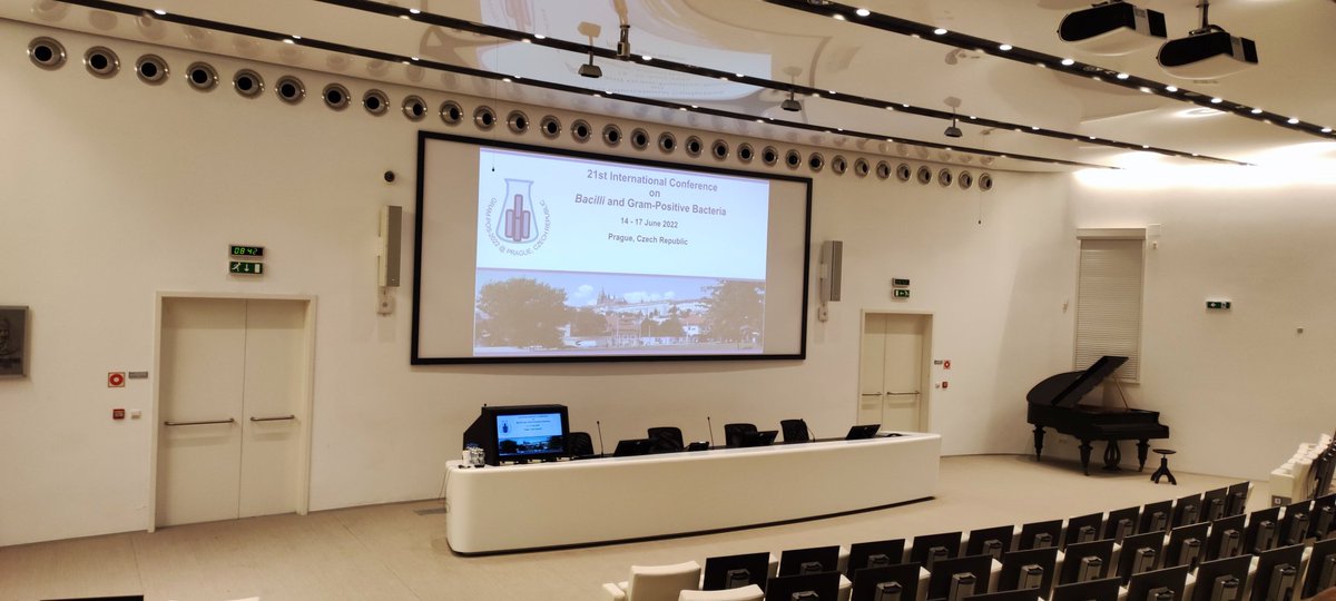 phagefluencer's tweet photo. Today I'll giving my very first talk at an international conference #grampos2022 about #SPbeta #phage and it's #lysogeny management system.
#phdlife #exciting https://t.co/Af2ykxLqOm