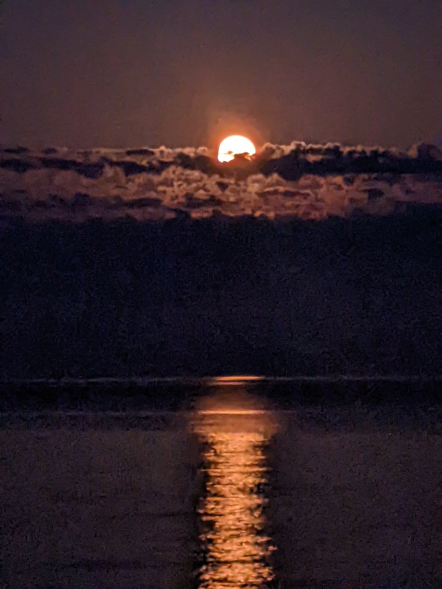 SoilVoices's tweet photo. Not #soil but had to post this beautiful #StrawberryMoon #strawberrysupermoon from #swim at #stretegate last night https://t.co/34iQshfsZC