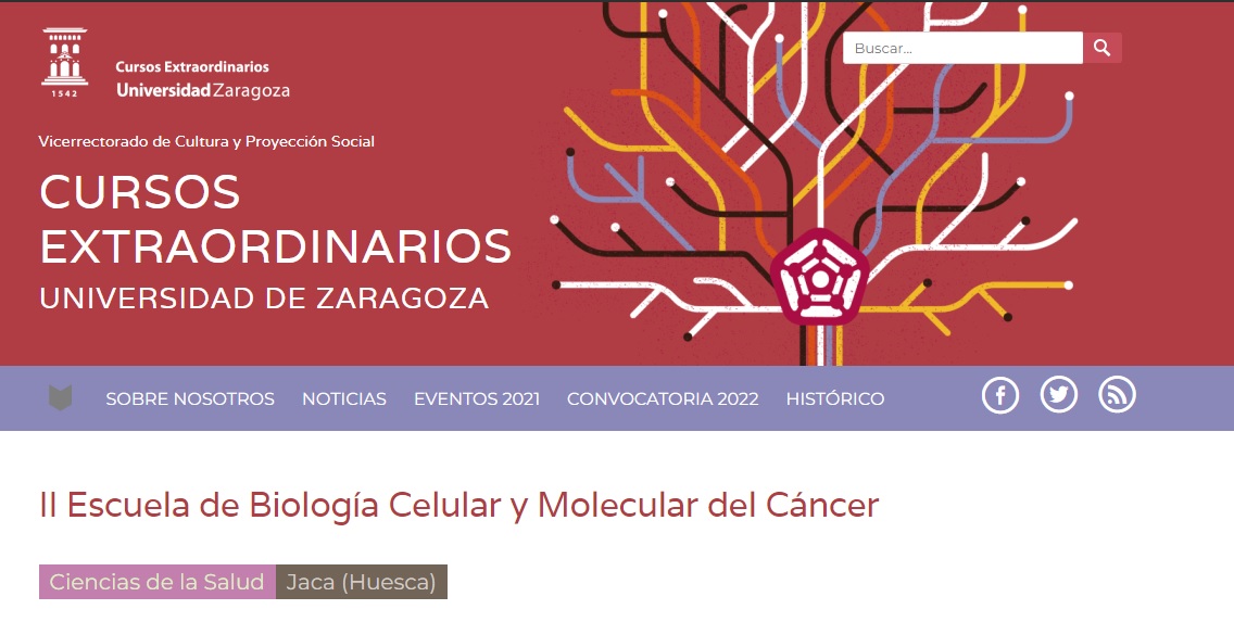 ARAID_ES's tweet photo. 📅 30/06-01/07 @AJSchuhmy,ARAID en @IISAragon  organiza la II Escuela de Biología Celular y Molecular del #Cáncer con Santiago Ramón y Cajal Agüeras (cursos extraordinarios @unizar)

¿Solicitas beca? Envía CV a escuelacancerjaca@gmail.com 
⏰20 de junio

➡️https://t.co/WXlDHIJVF8 https://t.co/ZuwRjT21Eg
