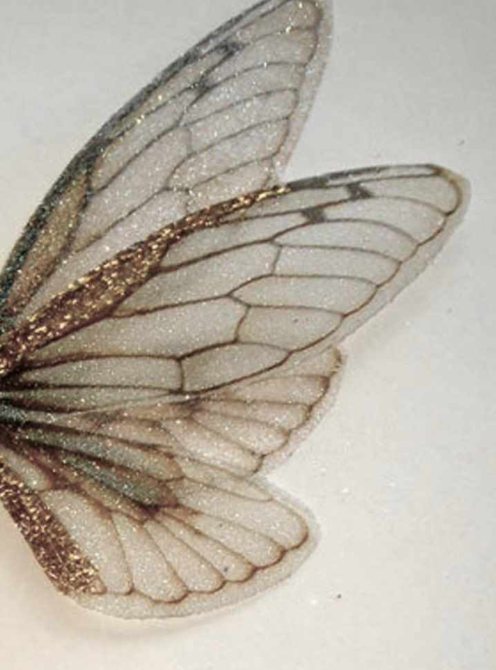 fjsgucci's tweet photo. felip/ken in fairy wings 🧚 a thread (tl cleanse): https://t.co/kU0olcvczh