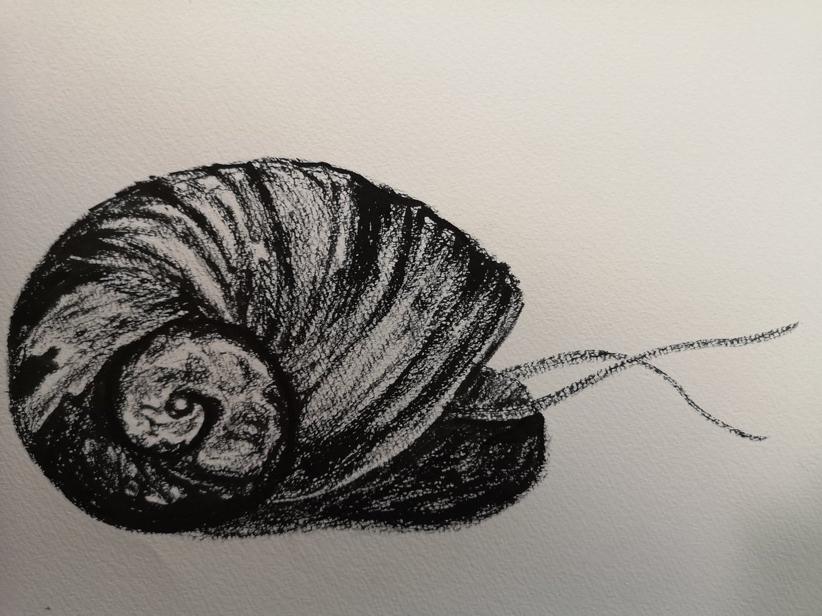 水草水槽 のイラスト マンガ コスプレ モデル作品 7 件 Twoucan