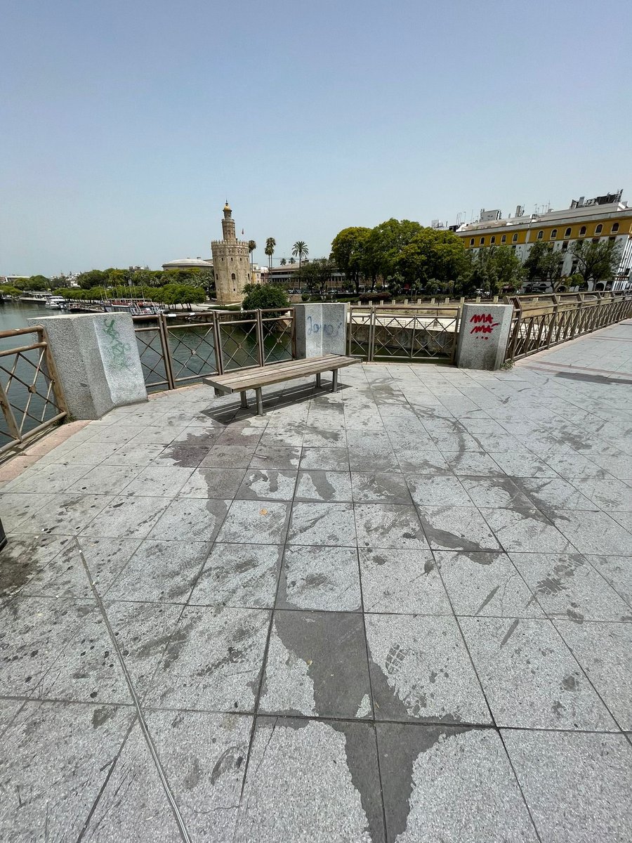 jlsanzalcalde's tweet photo. Me duele ver así a Sevilla. #Faltan347días 

#UnProyectoLlamadoSevilla https://t.co/3JlpZex9fI