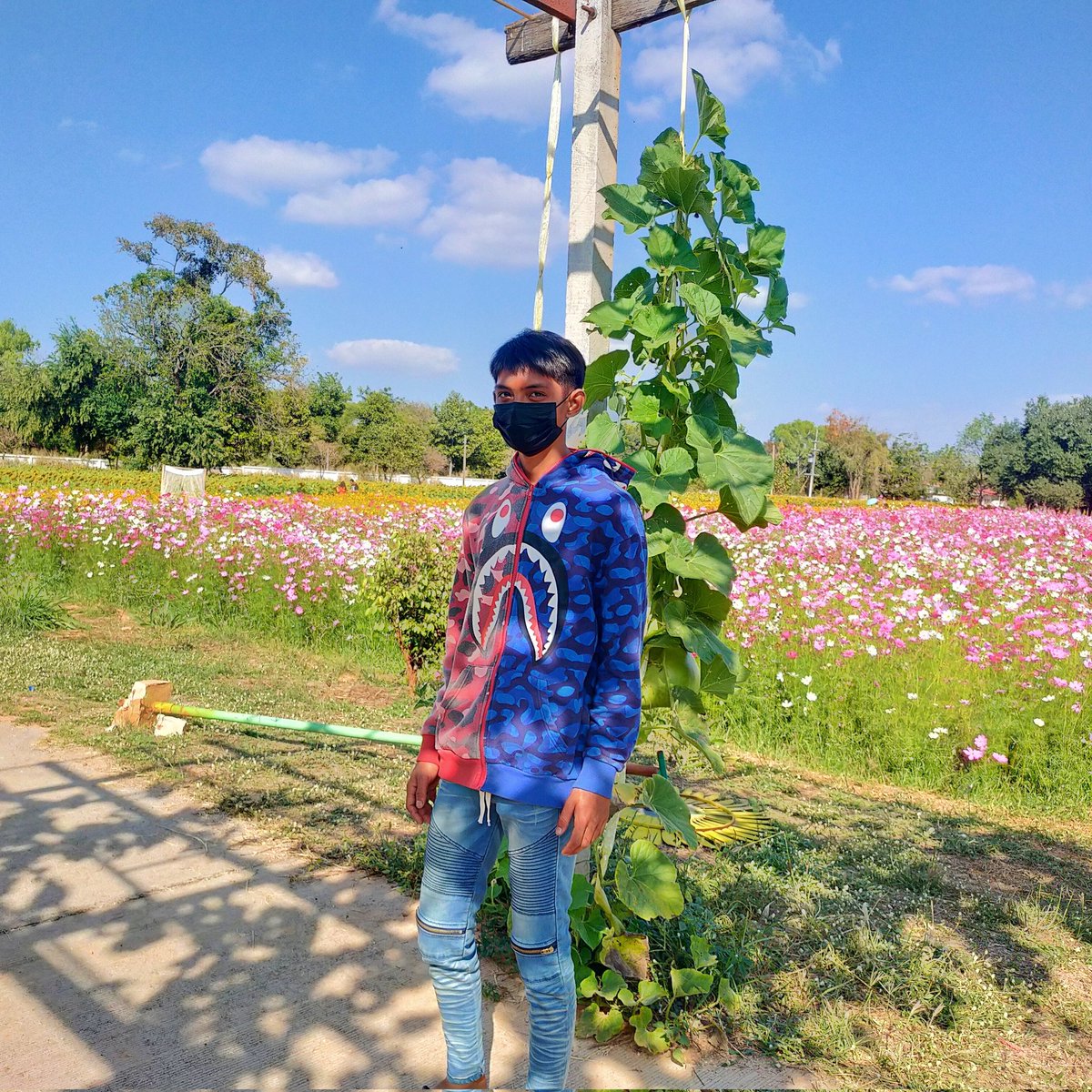 Kennoii2003's tweet photo. #NewProfilePic https://t.co/JGAlilayQ1