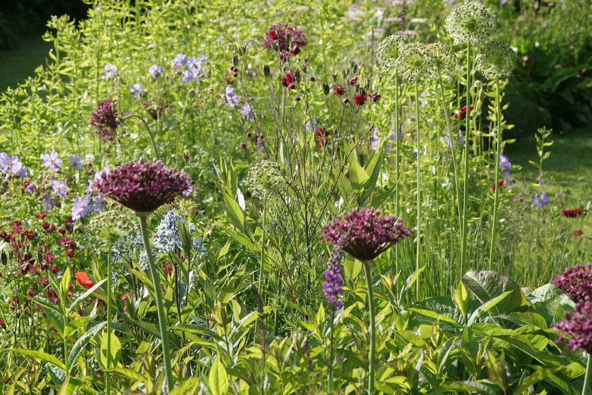 Vanaf woensdag 15 juni t/m zaterdag 2 juli: FINALE UITVERKOOP bij De Kleine Plantage. dekleineplantage.nl