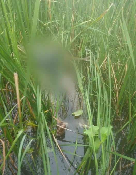 BryanOC55893120's tweet photo. Tw // Death,
Junta soldiers killed 8 local residents from Taohn village, ShweBo tsp, Sagaing division on Jun 10th and 12th. They also plundered nearby villages. #2022Jun15Coup #WarCrimesOfJunta #WhatsHappeningInMyanmar https://t.co/31EHGzaN4L