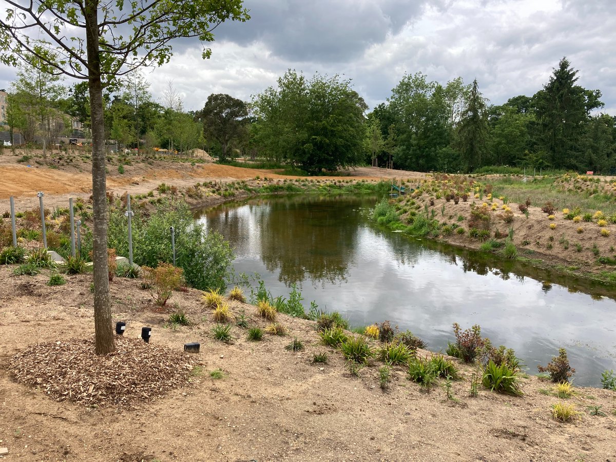 Our North London project is coming along and we are looking forward to showing you when it is completed.
In the meantime .. Work In Progress
#KLGUK #northlondon #design #workinprogress #lookingforward #project #london #work