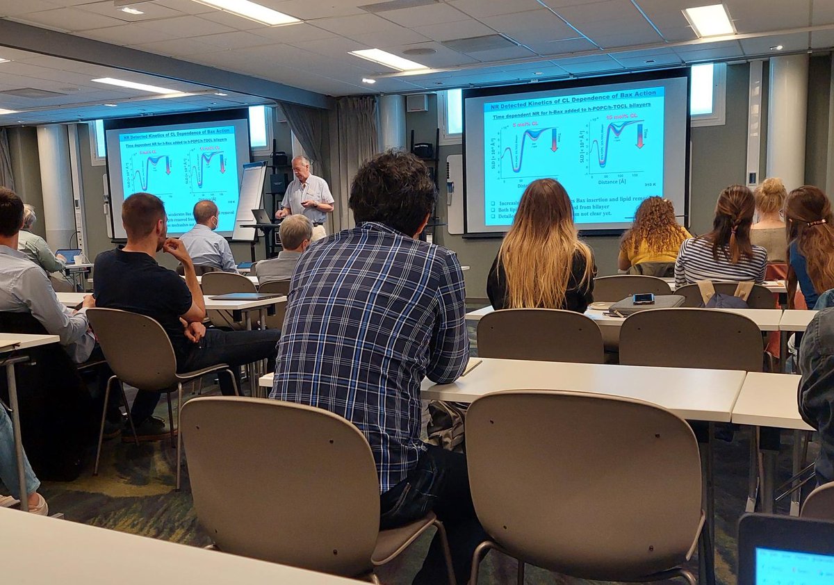 LINXS_Sweden's tweet photo. Gerhard Grobner (@UmeaUniversity ) at the BESS meeting - the molecular basis of Bcl-2 proteins functioning in membranes. @LINXS_Sweden @essneutron @ILLGrenoble @NeutronSwedish @ https://t.co/flRoJ3sGh6