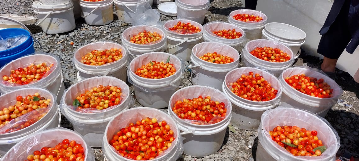 GbVisit's tweet photo. Cherry Season in Hunza https://t.co/hCsIFeP7Vk