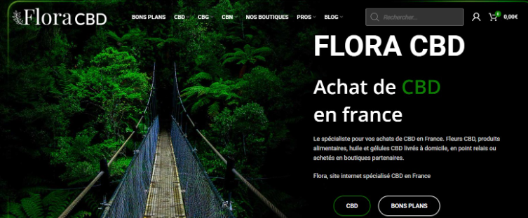 lesmakers_fr's tweet photo. 4) Flora CBD : pour une rémunération à paliers 🌿 

Cette société a été créée en 2018 à Chamonix suite à la légalisation de l���utilisation du chanvre. 

Il s’agit d’une entreprise à taille humaine puisqu’elle comporte une vingtaine de personnes dédiées à leurs clients. ❤️ https://t.co/wghjGBCYq6