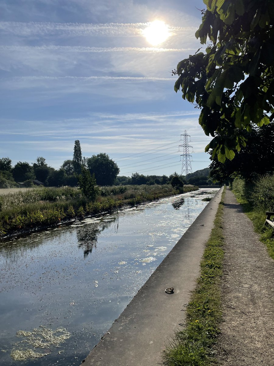 BethRoseM's tweet photo. Good morning #Lichfield https://t.co/xIkErSX1b7