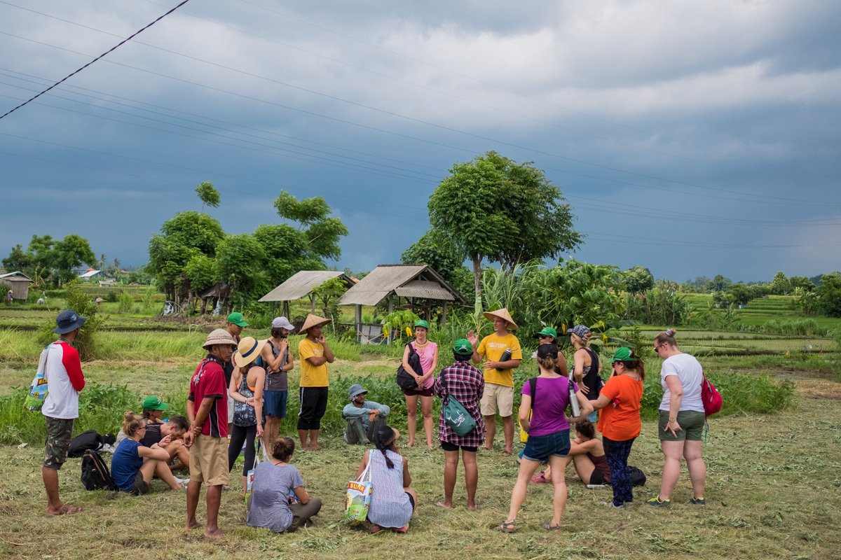 AllGreenSchools's tweet photo. Looking for a community of like-minded educators? Want to deepen your understanding of how to educate for sustainability? Don't miss our next #GreenEducators Course, starting July 1st! 

Learn more and sign-up here: https://t.co/Ye4iysMR0y

#TeachSDGs #TeachingJobs https://t.co/qJjfJ4nBwy