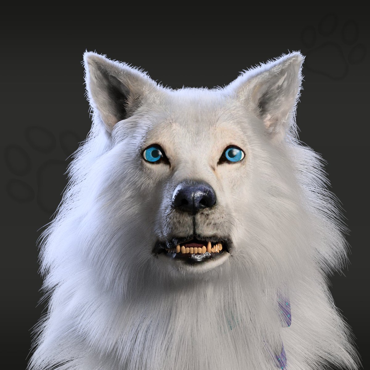 passiveuphoria's tweet photo. I need a therapist.
@NFungiblePeople @daz3d
#nfpeeps #NFPets #NonFungiblePeople #NFT #NFTs #NFTCommunity #DAZ3D #3D #Direwolf #pet #dog https://t.co/gkZUaw7WJA