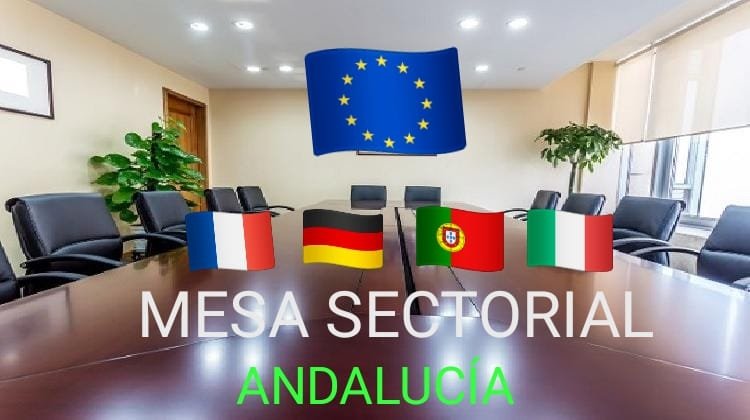 sindicatocele's tweet photo. Nos gustaría saber si hoy en mesa sectorial @CSIFenseA @usteaeducacion @feccooand @UGTEducaAnd @anpeandalucia va a pedir para el alumnado de la pública un plurilingüismo real  para Bachillerato como en la privada lo es ara TODAS las etapas. #andaluciatbeseuropa #SiAlSegundoIdioma https://t.co/1vVc14QAqE