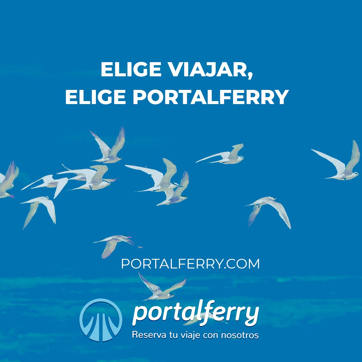Portalferry's tweet photo. Conocer y viajar, ¿ es ese tu propósito? Estas en el sitio perfecto. Desde Portalferry te damos 
paso a diferentes puertos con diferentes precios. Tú eliges, viaja con Portalferry.
#europedestinations #wonderfuldestinations #travelcommunity
#travelpassion  #puertos  #ferry #mar https://t.co/LFh8yq4LlR