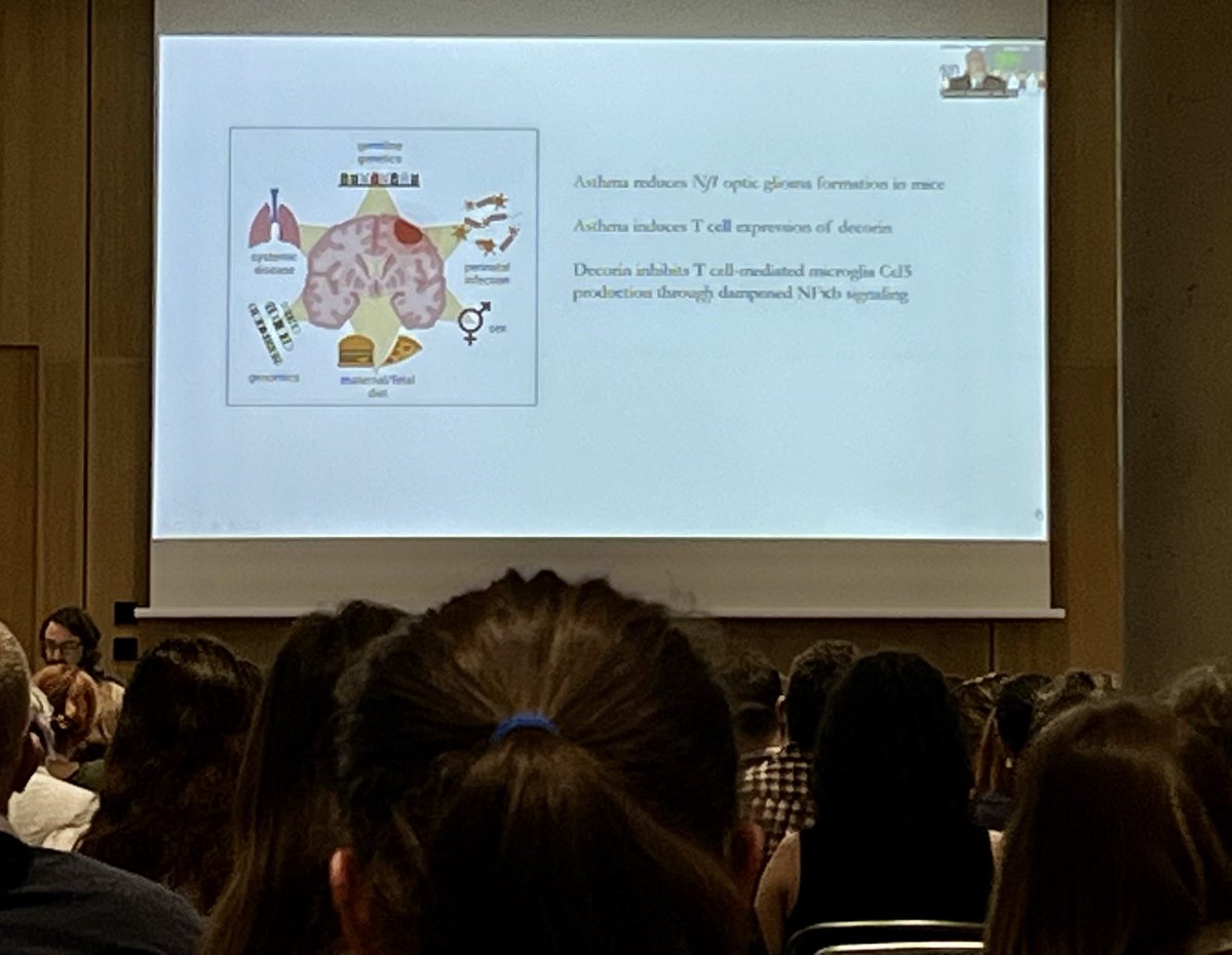⁦<a href="/GutmannLab/">Gutmann Laboratory</a>⁩ presenting an intriguing interaction between systemic disease, T cell infiltration, and glioma formation at #ISPNO2022. So much to learn about the tumor micro environment! ⁦<a href="/WUSTLmed/">Test Account</a>⁩ #pediatriccancer