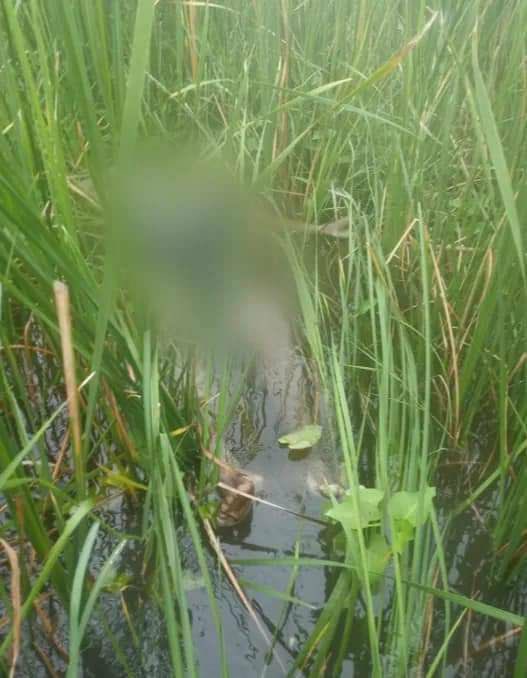 katycho22222's tweet photo. Tw//Death //Sensitive content 
Junta soldiers killed 8 local residents from Taohn village, ShweBo tsp, Sagaing division on Jun 10th and 12th. They also plundered nearby villages. #2022Jun15Coup #WarCrimesOfJunta #WhatsHappeningInMyanmar https://t.co/iFaBEI8XTg