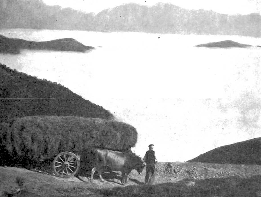 Mar de niebla en los puertos de Río Frío
C.E.M