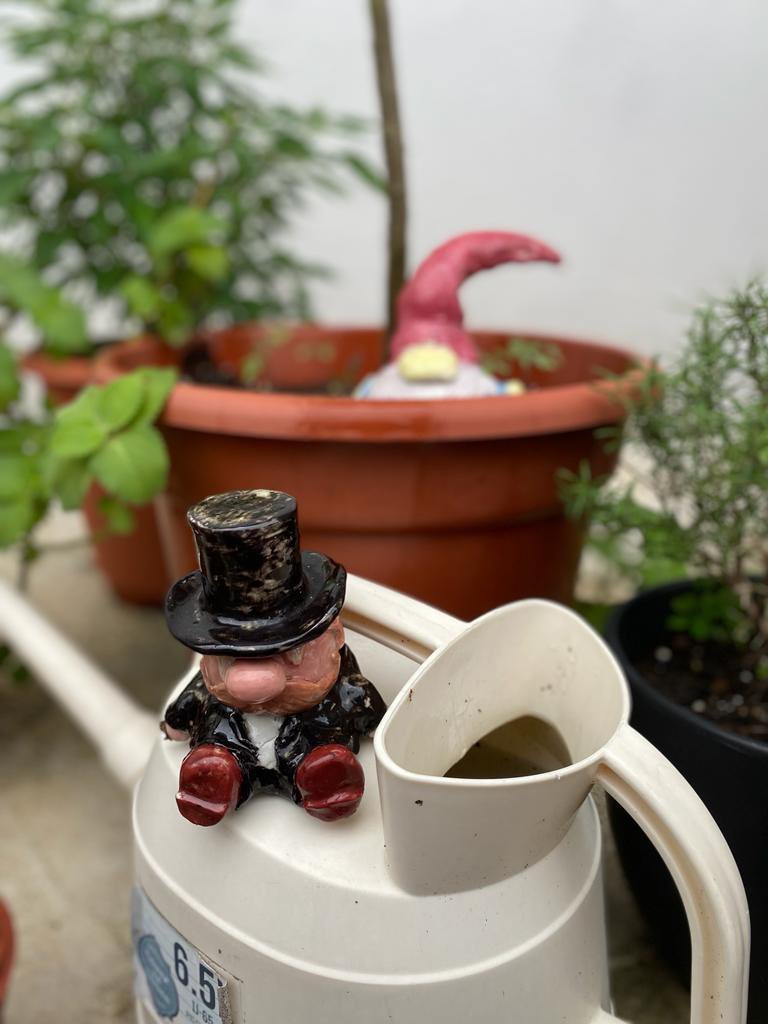EmilyHillVAEd's tweet photo. Our garden gnomes had a photoshoot today on the roof garden. How good they look! #arteducation #hkeducation #ceramics https://t.co/p6bF3jxMbE