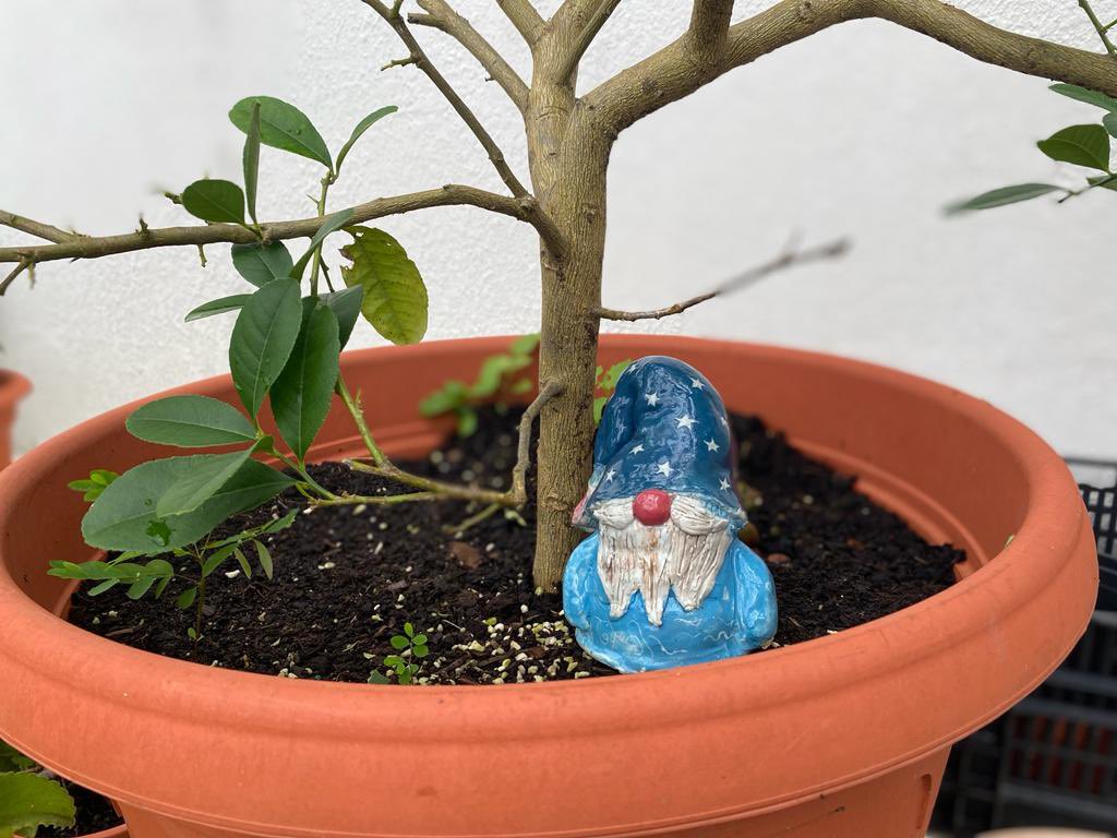EmilyHillVAEd's tweet photo. Our garden gnomes had a photoshoot today on the roof garden. How good they look! #arteducation #hkeducation #ceramics https://t.co/p6bF3jxMbE