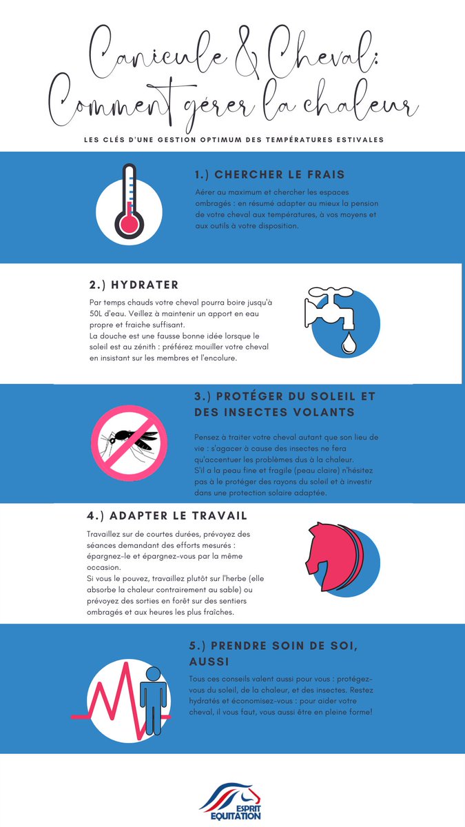 EEquitation's tweet photo. Au vue de la #canicule il est temps de ressortir notre article sur le sujet 👉https://t.co/ETP9rxNKBW https://t.co/RjWyqN7BEW