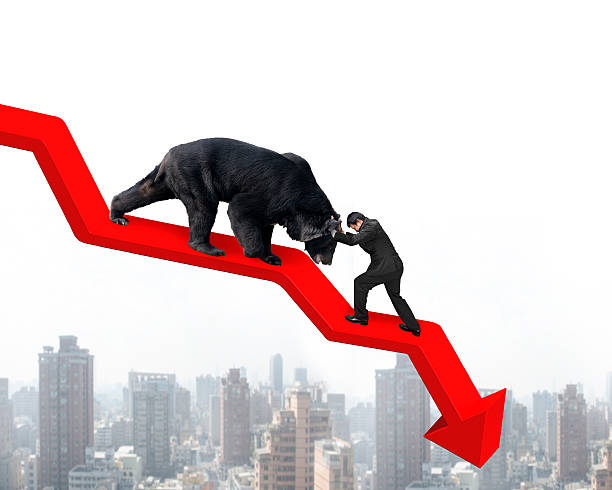 IbogaCrypto's tweet photo. Stage 2 of the bear market https://t.co/njqzjt2SZR