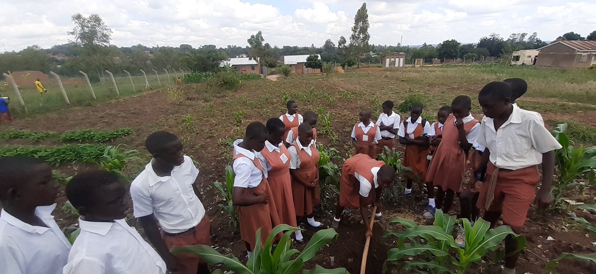 PiA_ug's tweet image. We need to increase the footprint of existing protected areas, ensure they are effectively managed, &amp;amp; establish new ones by formally protecting intact landscapes &amp;amp; restoring damaged landscapes. Credits to team @dreamtownngo  @NAC @CSSN @triplemotive  @CISUdk