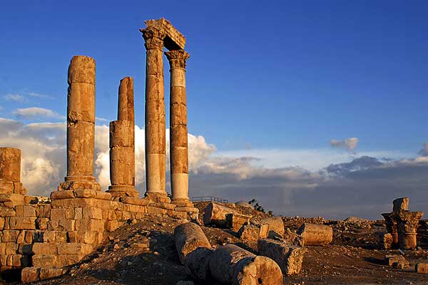 CarHire4Lower.com tweet media