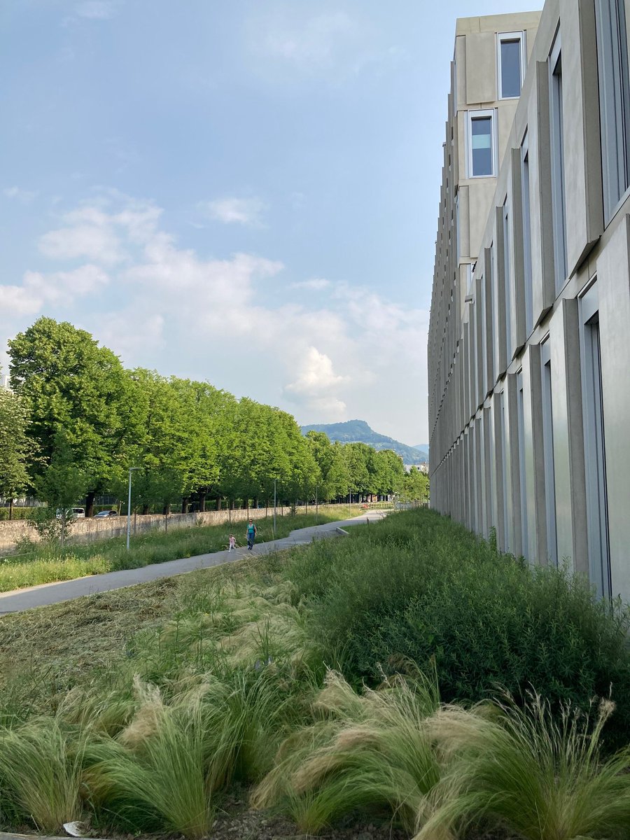 Swiss Clinical Trial Organisation (SCTO) (@swissclintrial) on Twitter photo We are very much looking forward to our symposium today in beautiful Lugano! An exciting day lies ahead, where we will learn more about Data Science and #AI in CR from our speakers! <a href="/mmbronstein/">Michael Bronstein</a>, <a href="/pcippa/">Pietro Cippà</a>, <a href="/a_blasimme/">Alessandro Blasimme</a>, <a href="/DalithSteiger/">Dalith Steiger</a>
<a href="/EnteOspedaliero/">Ente Ospedaliero Cantonale</a>, <a href="/USI_university/">USI University</a> #SCTOEvents" We are very much looking forward to our symposium today in beautiful Lugano! An exciting day lies ahead, where we will learn more about Data Science and #AI in CR from our speakers! <a href="/mmbronstein/">Michael Bronstein</a>, <a href="/pcippa/">Pietro Cippà</a>, <a href="/a_blasimme/">Alessandro Blasimme</a>, <a href="/DalithSteiger/">Dalith Steiger</a>
<a href="/EnteOspedaliero/">Ente Ospedaliero Cantonale</a>, <a href="/USI_university/">USI University</a> #SCTOEvents"