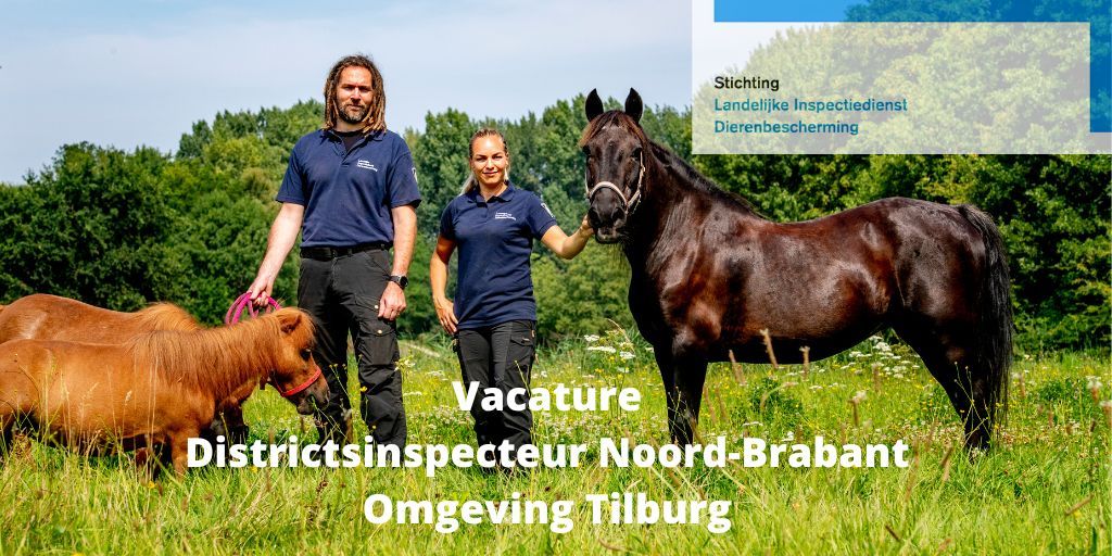 Wij zoeken een ervaren inspecteur om ons te komen versterken!
 
Ben jij BOA (domein II) en/of heb je een politiediploma? Beschik je verder over topkennis op het gebied van dierenwelzijn? Lees dan snel verder --> bit.ly/3QmKkW1

#vacature #inspecteur #dierenwelzijn