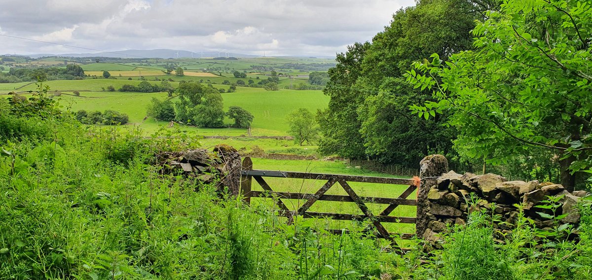 sufishsu's tweet photo. @LakesStiles @tismenic70 @Soapy_Wit_Tank @LordOrk @clouds_go_by @tutty352 @ceadela @ProjectWHYUK @LansdellMum @RuthRendell1 @WindowsLake @Yeti98_ #Woodensday #nicegate https://t.co/kgXShNecRz