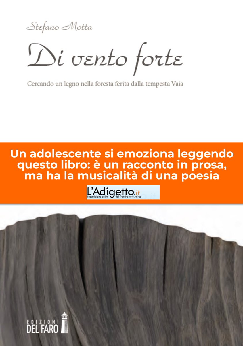 #Diventoforte <a href="/EdizionidelFaro/">Edizioni del Faro</a>, il mio #romanzo sulla #tempesta #Vaia nei consigli di lettura per l'#estate de <a href="/ladigettoit/">l'adigetto.it</a> 
ladigetto.it/letteratura/au…