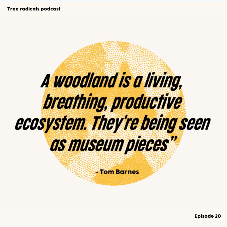 K_EarthProjects's tweet photo. Wonderful podcast with the lovely @TomBarnesWood  fresh out from Tree Radicals (The Woodland Presents) - highly recommend bending your ears around https://t.co/oxSbsGTify