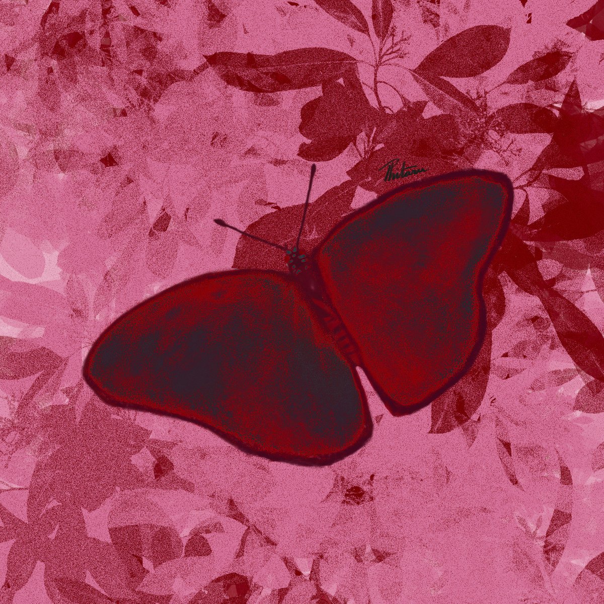 Sαƚυɾɳ tweet media