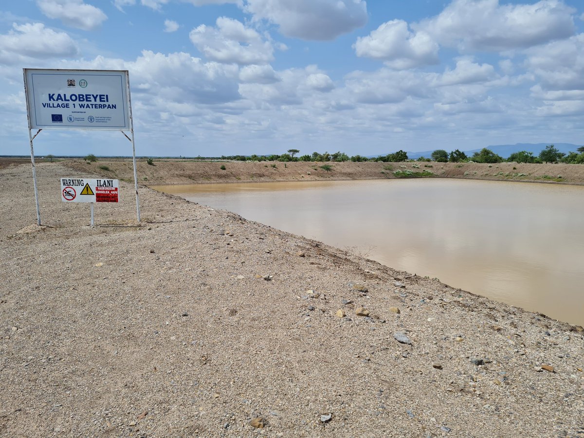 WFP_Kenya's tweet photo. Kalobeyei saw just 2 days of rain last season but it was enough for 300 farmers at Village One to plant tomatoes &amp; kale, thanks to the local water pan supported by  @WFP_Kenya, @FAOKenya @UNHCR_Kenya @TurkanaCountyKE and the European Union. Thanks @HagemannKatrin for visiting. https://t.co/s9eYn07Tl5