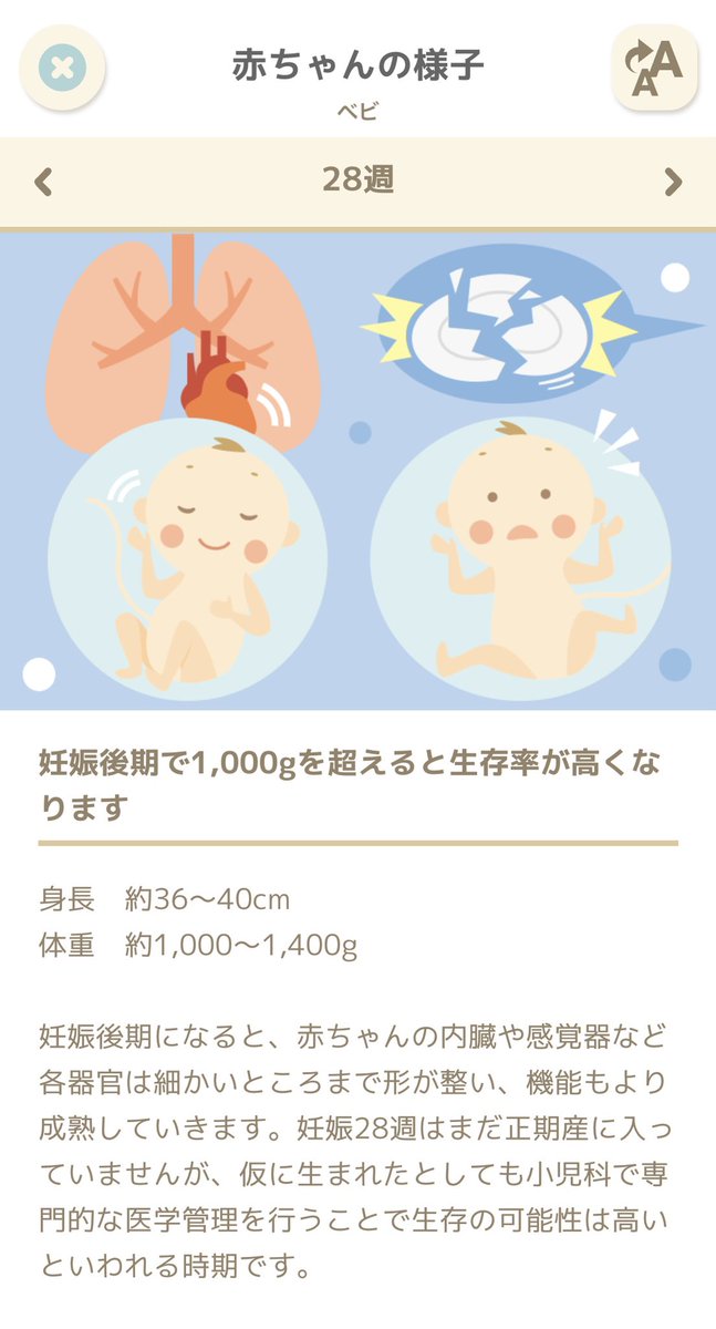ttbf99's tweet photo. 初期の頃に出血があって病院行ったら
確認できてたはずの心拍がなぜか
確認できなくてホントはその日もらえるはずだった
妊娠届ももらえなくて
流産の説明もされて家まで号泣しながら
帰ったのがつい最近だったのに🥲
それからは問題無く
8ヶ月まで順調にきてくれたことが
すごく感慨深い🥲 https://t.co/yQAfhiRcSV