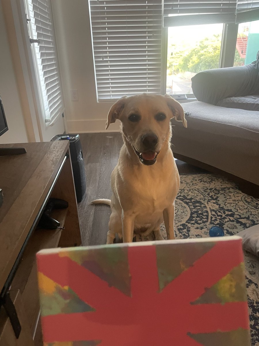 RollTidePenny's tweet photo. Hi guys! My hooman started a new job, but he found time to help me make some new art! What do you think? https://t.co/52WUZOCneV