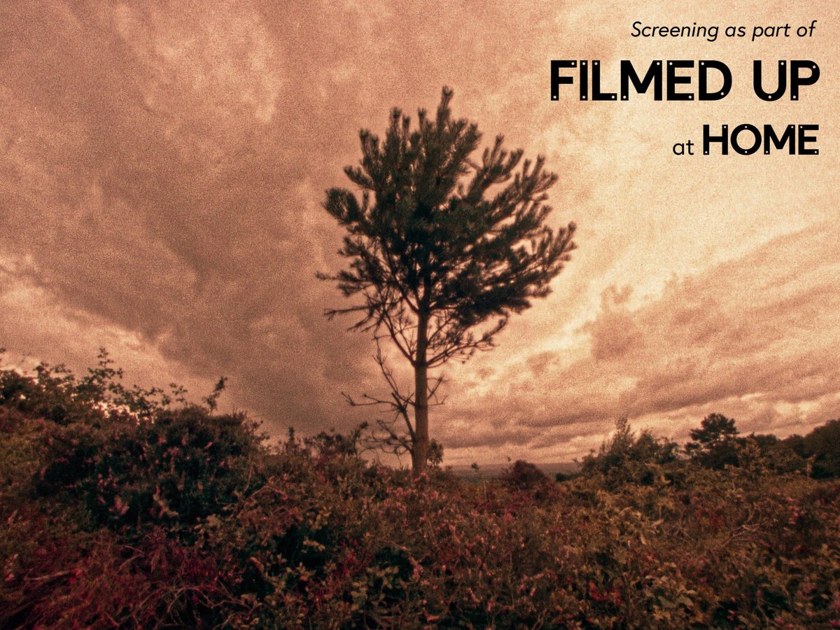 PARALLEL MADNESS tweet media