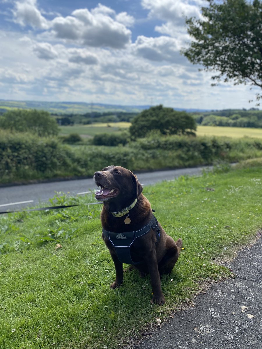 _JenniferFish's tweet photo. Enjoying the perks of flexible working and getting out in the sunshine ☀️ all counting towards my #100kminJune challenge for @DayOneTrauma @PIandMedNeg @irwinmitchell https://t.co/qoQusTpcu8