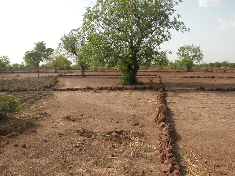 ZANGOMOUSSA6's tweet photo. #Burkina:Les #cordons_pierreux ou #diguettes:techniques qui permettent de récupérer les terres #dégradées,lutter contre #érosion_hydrique et #améliorer l’infiltration des #eaux. Une forme d'adaptation aux effets des #changements_climatiques
#226climativist
#A2E
#ANV
#lwili https://t.co/ohzr4DrHBQ