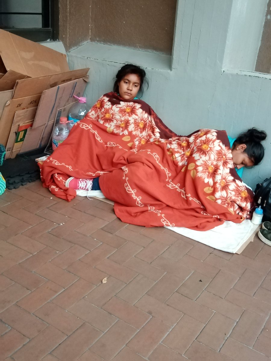 Julieta Fierro Gossman tweet media